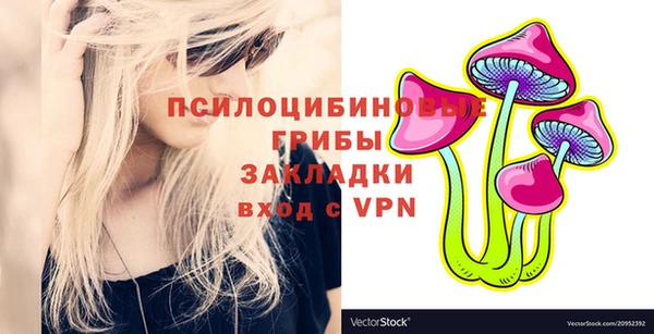 дживик Алексеевка