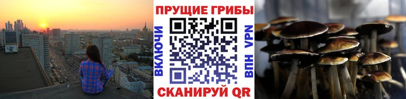 Псилоцибиновые грибы GOLDEN TEACHER  Адыгейск 